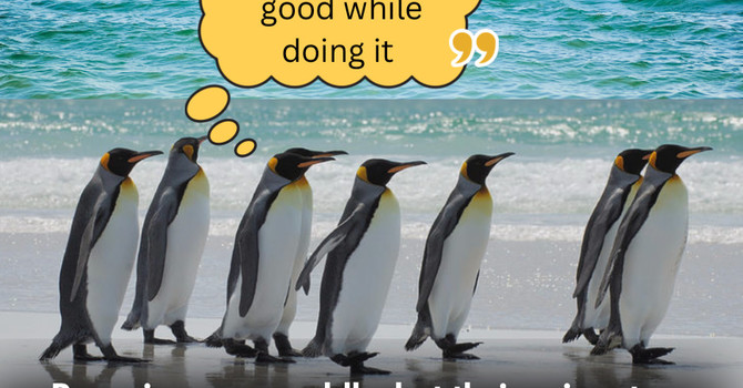 Penguin Posture image